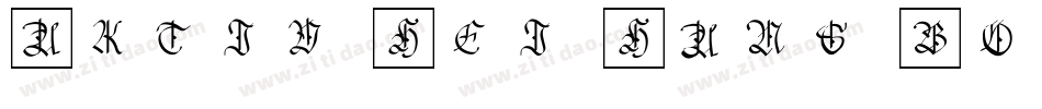 Aktiv Hei Hans Bold字体转换